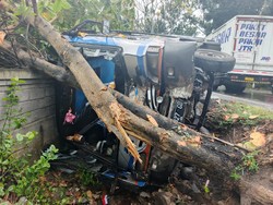 Angkot Terguling di Jalan Denpasar-Gilimanuk, Pengemudi Luka-luka