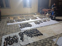 Ada Lomba Menembak Tikus di Sleman gegara Petani Gagal Panen