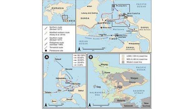 Sebuah studi baru mengungkap jejak kehidupan manusia di dekat wilayah Papua sudah ada sejak 55 ribu tahun lalu.