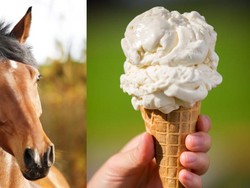 Es Krim Susu Kuda Disebut Ahli Lebih Menyehatkan, Ini Sebabnya