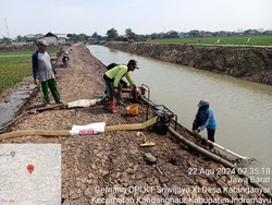 Program Pompanisasi Digeber Demi Selamatkan Produksi Beras Nasional