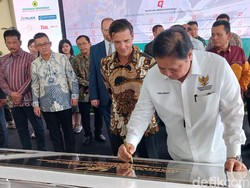 Airlangga Resmikan 8 Perusahaan Green Energi di Batam Senilai Rp 290 T