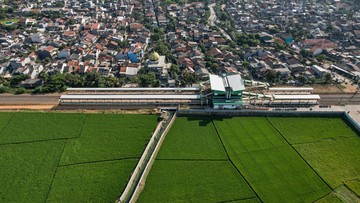 Banyak Alih Fungsi Lahan, RI Butuh 3 Juta Ha Sawah Baru