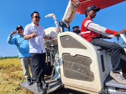 Pj Gubernur Jatim Panen Raya Padi Varietas Unggulan di Situbondo