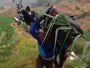 Momen Pria Pikul Motor saat Evakuasi Pengendara Terperosok ke Jurang di Batang Momen Pria Pikul Motor saat Evakuasi Pengendara Terperosok ke Jurang di Batang