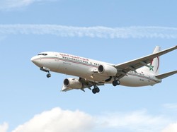 Gegara Kecoak, Penumpang Tak Bisa Bisa Ambil Koper Sampai Berhari-hari