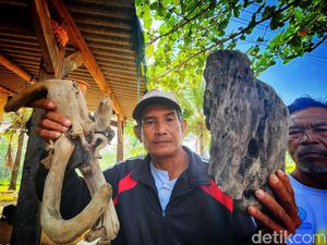 Sampah Kayu di Pesisir Loji Jadi Ukiran hingga Dikirim ke Korsel