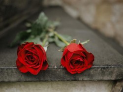 Geger Mahasiswa RI Meninggal di Austria, Kenapa Serangan Panas Bisa Fatal?