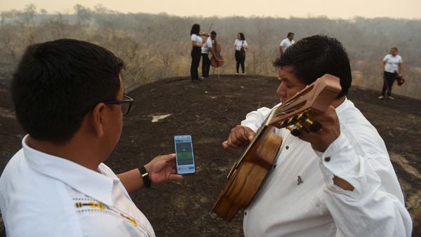 Curi Perhatian, Aksi Bermain Musik di Tengah Kebakaran Hutan Bolivia
