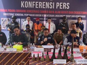Gakkum LHK Sumsel Tangkap Penjual Cula Badak-Pipa Gading Gajah Gakkum LHK Sumsel Tangkap Penjual Cula Badak-Pipa Gading Gajah