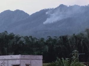 5 Hektare Hutan Coban Rondo Pujon Malang Hangus Terbakar 5 Hektare Hutan Coban Rondo Pujon Malang Hangus Terbakar