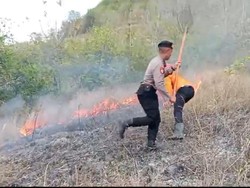 3 Hektare Lahan Warga dan Perhutani di Trenggalek Terbakar