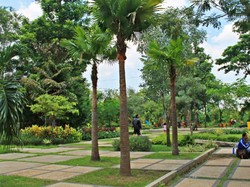 Kebun Bibit Wonorejo: Ruang Hijau di Tengah Kota Surabaya