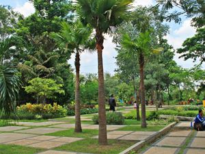 Kebun Bibit Wonorejo: Ruang Hijau di Tengah Kota Surabaya Kebun Bibit Wonorejo: Ruang Hijau di Tengah Kota Surabaya