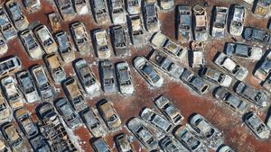 Ratusan Mobil Sitaan di Brasil Ludes Dilalap Api Kebakaran Ladang