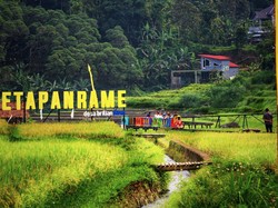 Dukung Pengembangan Ekonomi Desa, Program Desa BRILiaN 2024 Berlanjut