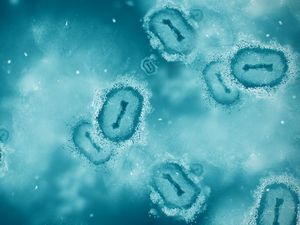 Traveler Wajib Hati-hati! Waspada Penyebaran Virus Saat Berlibur Traveler Wajib Hati-hati! Waspada Penyebaran Virus Saat Berlibur