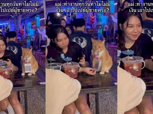 Unik! Ada Kafe Viral Gegara Kasirnya Berbulu Unik! Ada Kafe Viral Gegara Kasirnya Berbulu