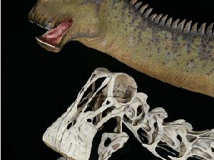 Kenalan dengan Nigersaurus Taqueti, Dinosaurus yang Punya 500 Gigi Kenalan dengan Nigersaurus Taqueti, Dinosaurus yang Punya 500 Gigi