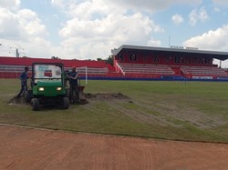 Cacing Tanah Disebut Penyebab Buruknya Kualitas Rumput Stadion Soepriadi