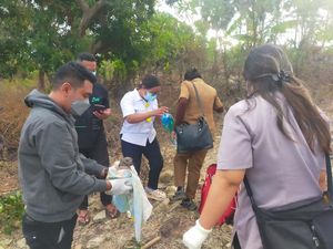 Jasad Bayi Dimakan Anjing Bikin Geger Warga Sabu Raijua Jasad Bayi Dimakan Anjing Bikin Geger Warga Sabu Raijua