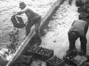 Kenapa Militer Swiss Membuang Senjata ke Danau? Ini Alasannya Kenapa Militer Swiss Membuang Senjata ke Danau? Ini Alasannya