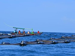 PT Ratuworld Aquaculture Dukung Pemerintah Wujudkan Ekonomi Biru