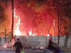 Pepohonan Pinggir Jalan Pesanggrahan Kembangan Jakbar Kebakaran