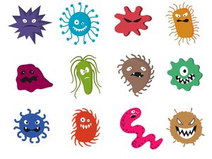 Ini Perbedaan Kuman, Virus, dan Bakteri yang Sering Dianggap Sama Ini Perbedaan Kuman, Virus, dan Bakteri yang Sering Dianggap Sama