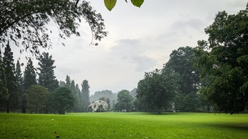 Mampukah AI Berbasis Koleksi Ilmiah Kebun Raya Memprediksi Banjir?