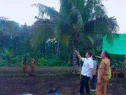 Kementan Tanam Padi Gogo 464 Hektare di Minut demi Cegah Krisis Pangan