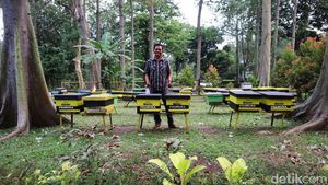 Melihat Destinasi Edukasi Taman Wisata Lebah Jakarta Timur