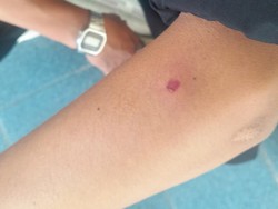 Penembak Mahasiswa PKL di Kantor Bawaslu Lampung Ditangkap!