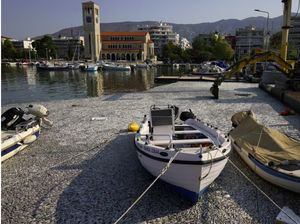 Pelabuhan Wisata Ini Dipenuhi Ratusan Ribu Bangkai Ikan, Ada Apa?