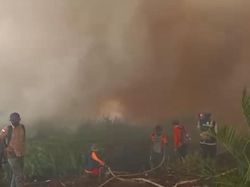 Ratusan Hektare Lahan Gambut di Rantau Panjang Muaro Jambi Terbakar