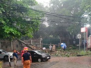Pohon Tumbang Akibat Angin Kencang Timpa Mobil di Bojongsari Depok