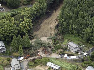 Pohon Ikonik Berumur 3.000 Tahun Tumbang Diterjang Badai