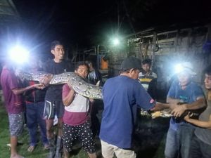 Penampakan Ular Piton 7,5 Meter Mati Ditombak Warga di Sungai Bone Bolango Penampakan Ular Piton 7,5 Meter Mati Ditombak Warga di Sungai Bone Bolango