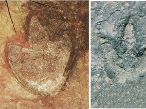 Ada Jejak Dinosaurus yang Mirip di Brasil - Kamerun, Bukti Pernah Jadi Satu? Ada Jejak Dinosaurus yang Mirip di Brasil - Kamerun, Bukti Pernah Jadi Satu?