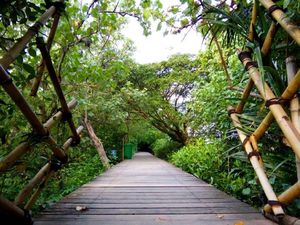 Pengunjung Ekowisata Mangrove Wonorejo Melonjak hingga 60% Saat Libur Nataru Pengunjung Ekowisata Mangrove Wonorejo Melonjak hingga 60% Saat Libur Nataru