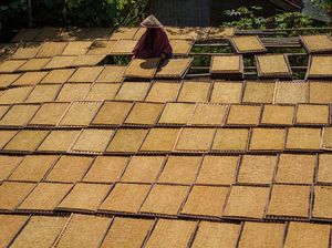 Miris! Aturan Penyeragaman Kemasan Rokok Tanpa Merek Bisa Bikin Rugi Petani