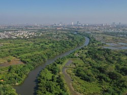 Oase Mangrove Gunung Anyar, Wisata Hijau di Tengah Kota Surabaya Oase Mangrove Gunung Anyar, Wisata Hijau di Tengah Kota Surabaya