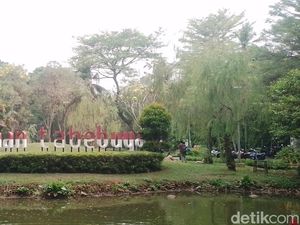 Menyepi di Taman Tabebuya Jakarta Selatan, Saat Berbunga Sungguh Memikat Menyepi di Taman Tabebuya Jakarta Selatan, Saat Berbunga Sungguh Memikat