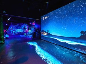 5 Alasan Kenapa Anda Harus Kunjungi SEA LIFE Busan Aquarium