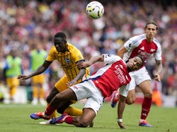 Prediksi Arsenal vs Brighton: Potensi Burung Camar Kejutkan Meriam London