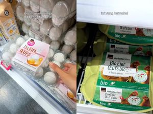 Telur Ayam di Swiss Punya Kasta, Makin Mahal Kalau Ayamnya Hidup Bahagia!