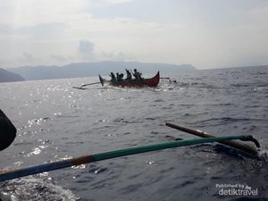 Lumba-lumba Teluk Kiluan yang Bikin Penasaran