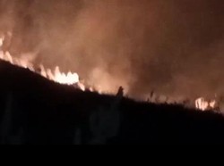 Bukit Anak Dara di Lombok Terbakar, Puluhan Pendaki Panik
