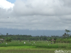 Gunung Semeru 5 Kali Erupsi Pagi Ini, Visual Letusan Tidak Teramati Gunung Semeru 5 Kali Erupsi Pagi Ini, Visual Letusan Tidak Teramati