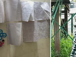 Keren! Remaja Ini Tetap Rajin Belajar Meski Sambil Jualan Samosa